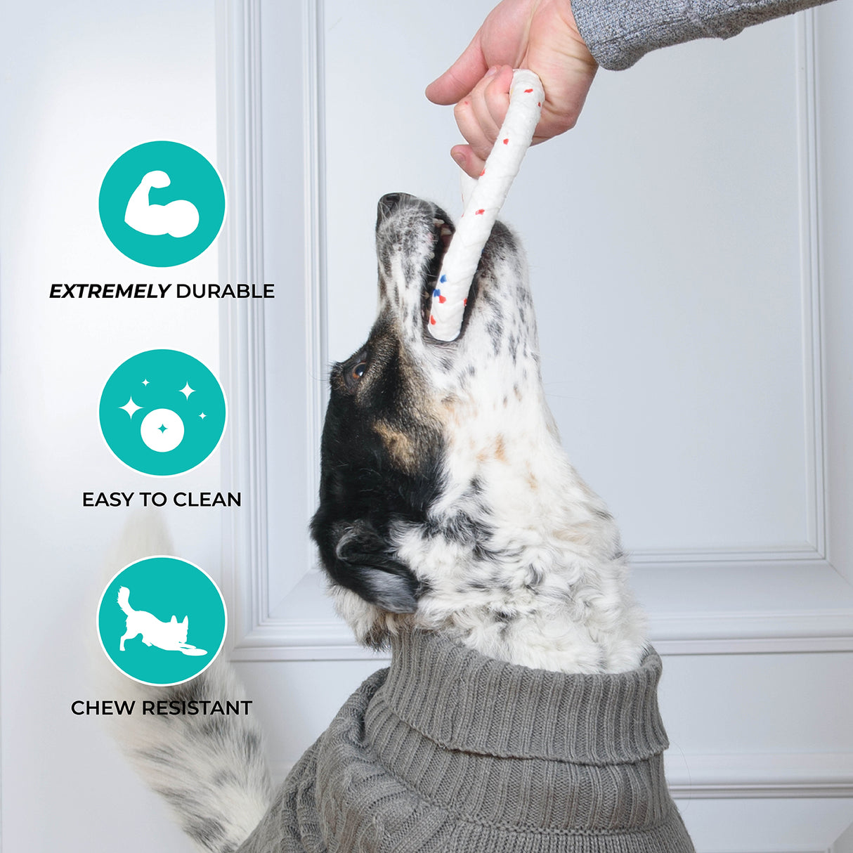 Anneau de traction Shedrow K9 FlexiPlay