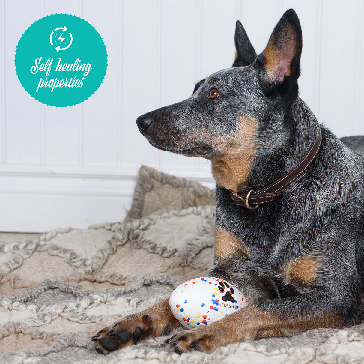 Ballon de football Shedrow K9 FlexiPlay