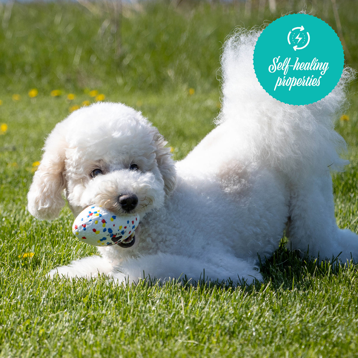 Ballon de football Shedrow K9 FlexiPlay