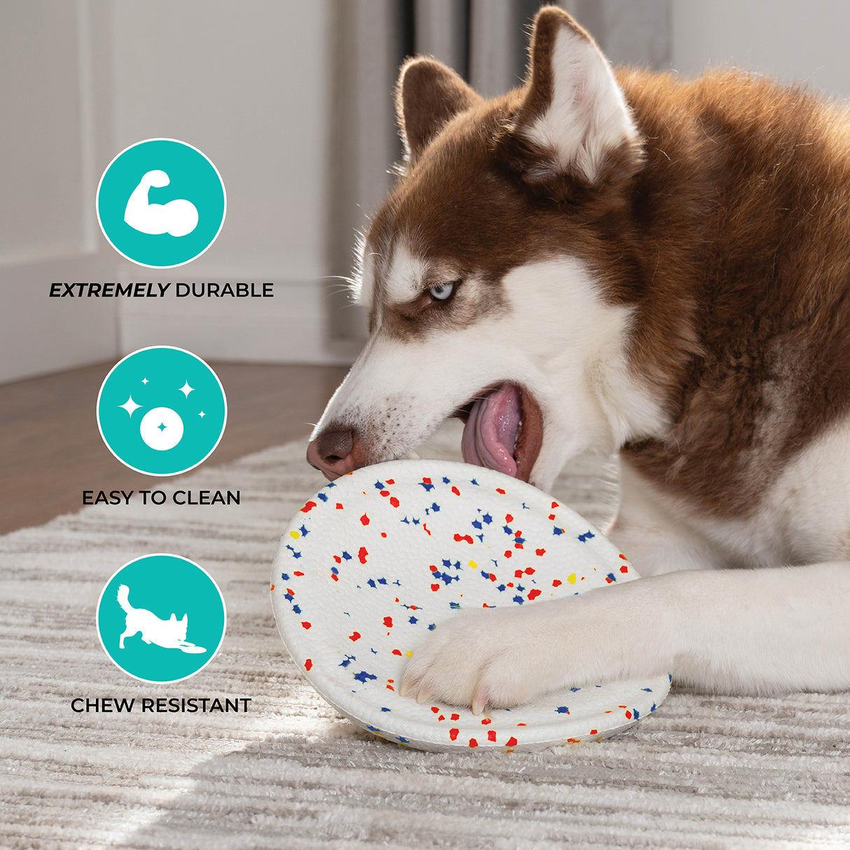 Frisbee Shedrow K9 FlexiPlay