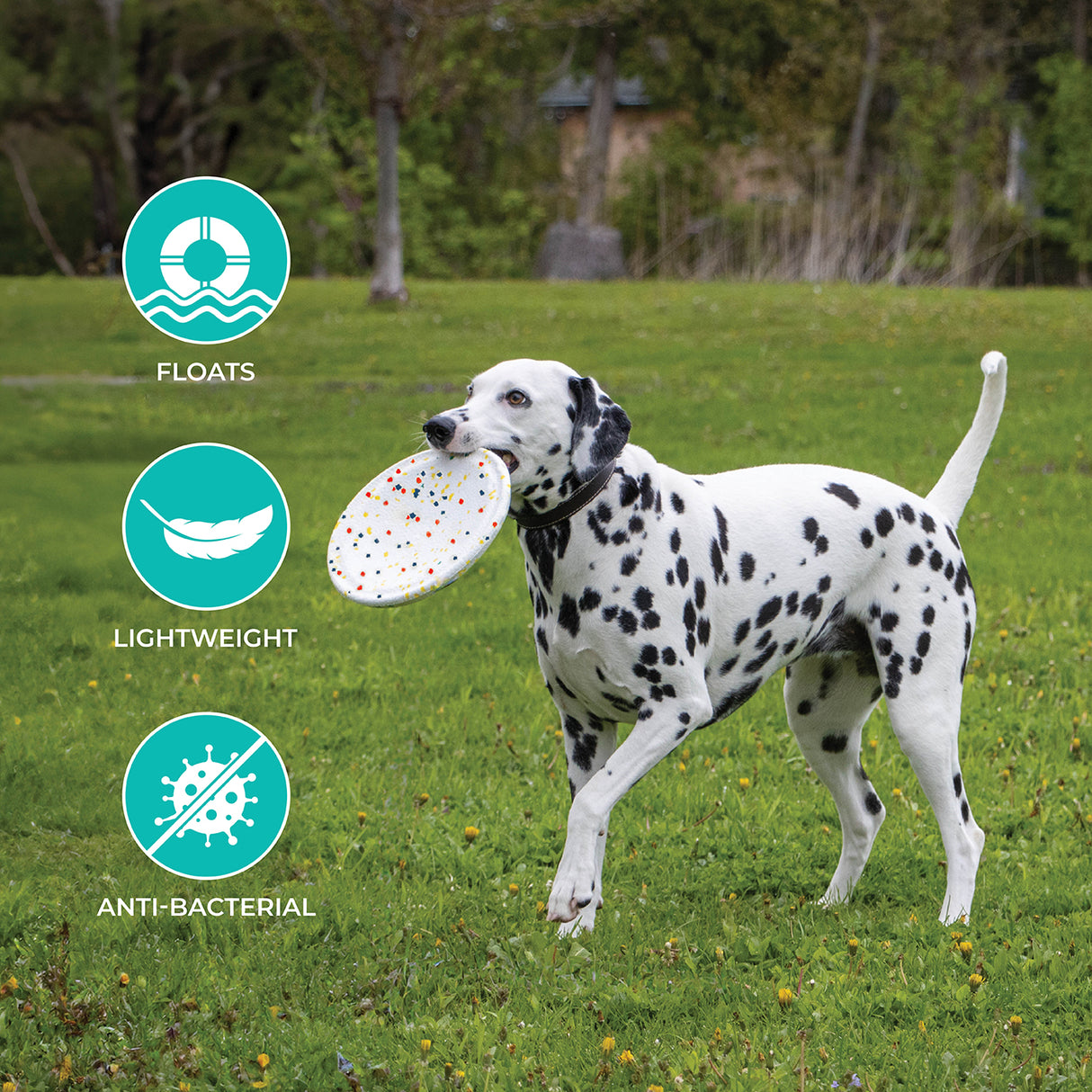 Frisbee Shedrow K9 FlexiPlay