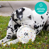 Frisbee Shedrow K9 FlexiPlay