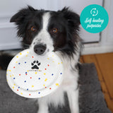 Frisbee Shedrow K9 FlexiPlay