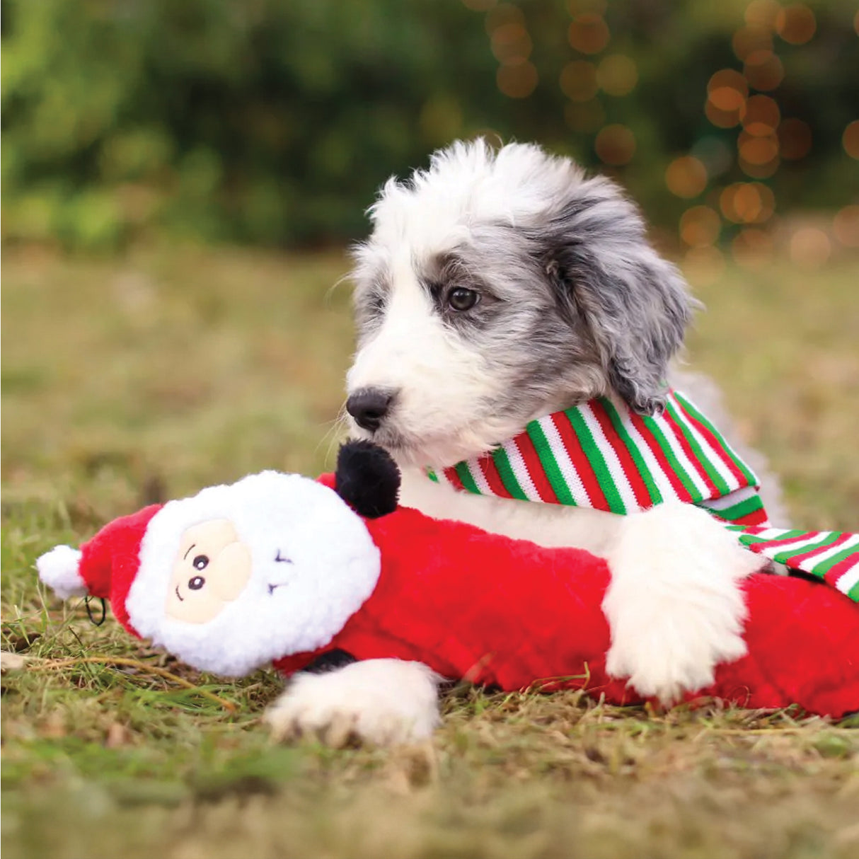 ZippyPaws Holiday Jigglerz Santa