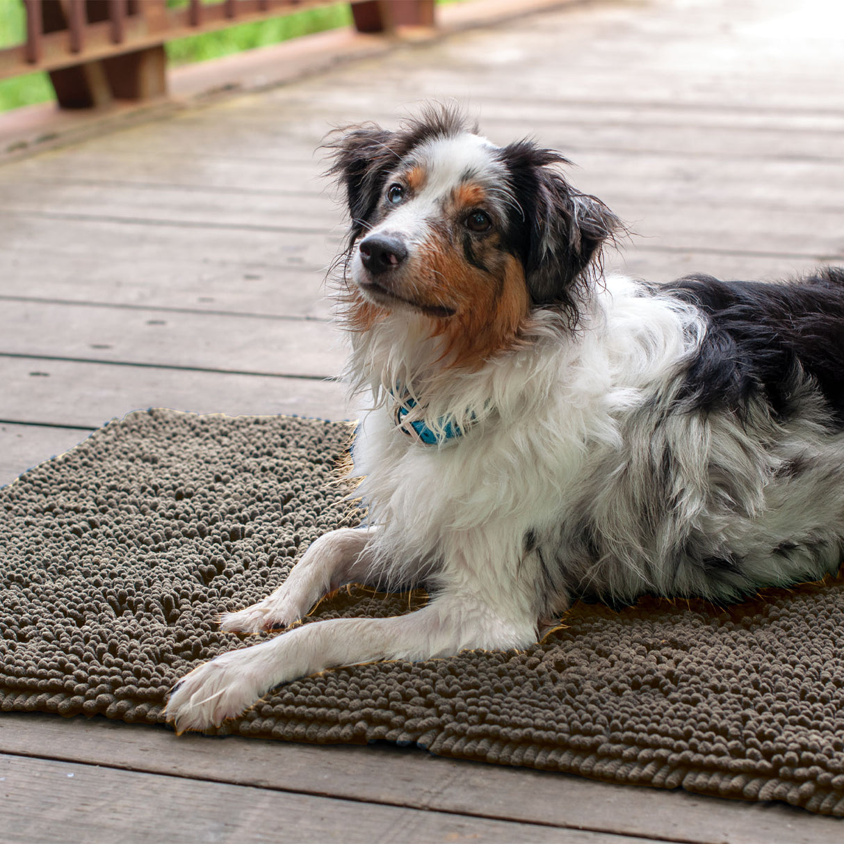 Tapis de boue Shedrow K9