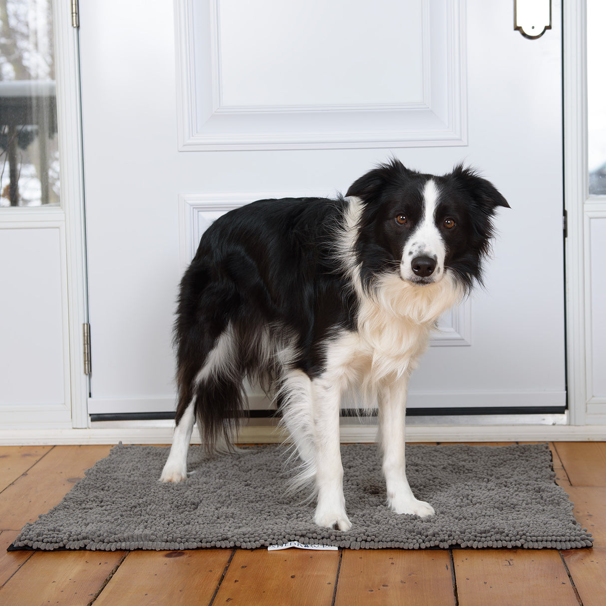 Tapis de boue Shedrow K9