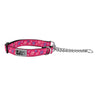 Collier de dressage RC pour animaux de compagnie