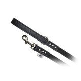 Buddy Belt Accent Leather & Nylon Leash 1.3 cm x 1.2 m