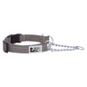 Collier de dressage primaire RC Pet