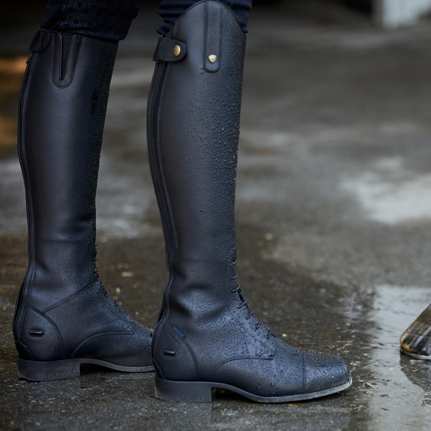 Ariat winter shop riding boots