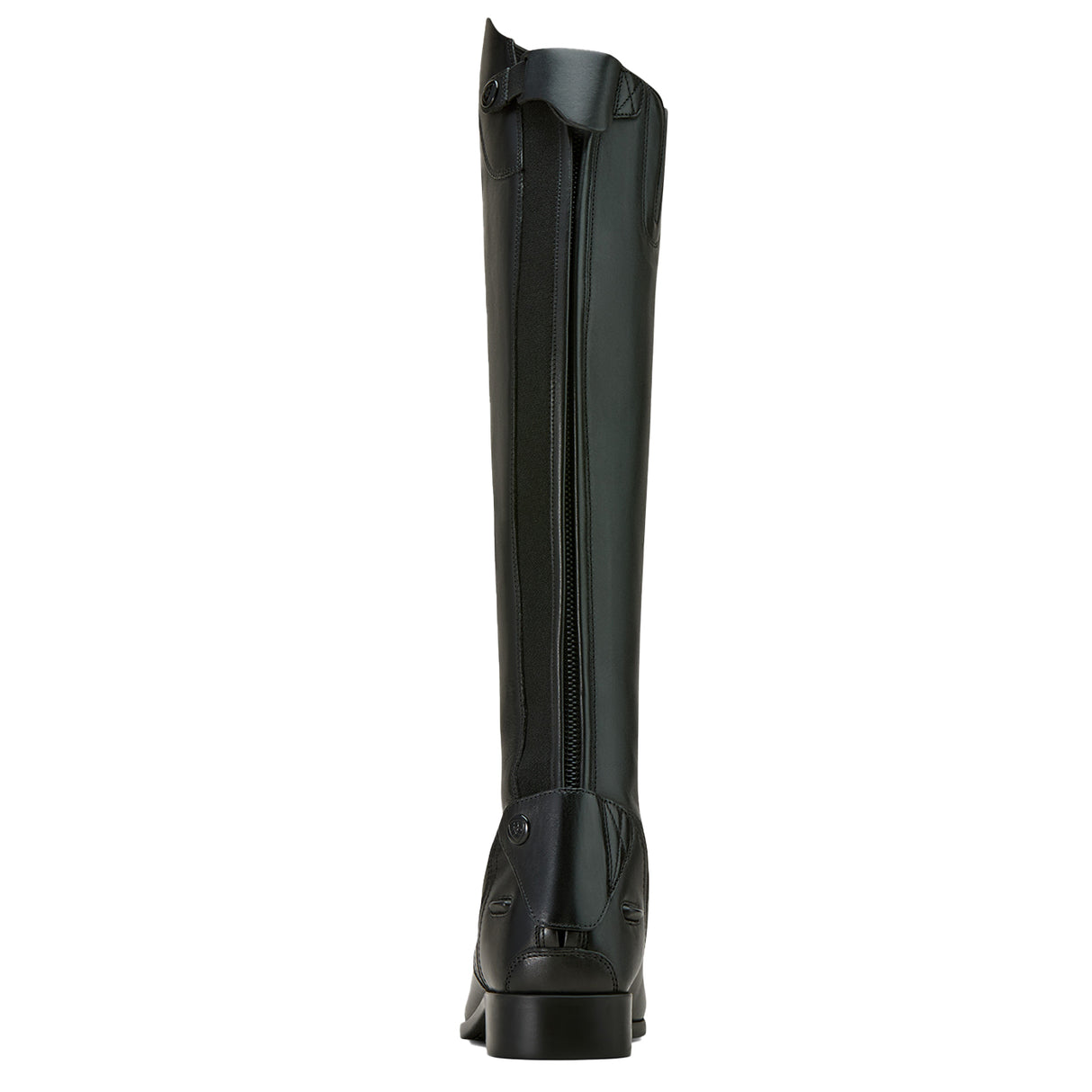 Bottes de terrain Ariat Palisade