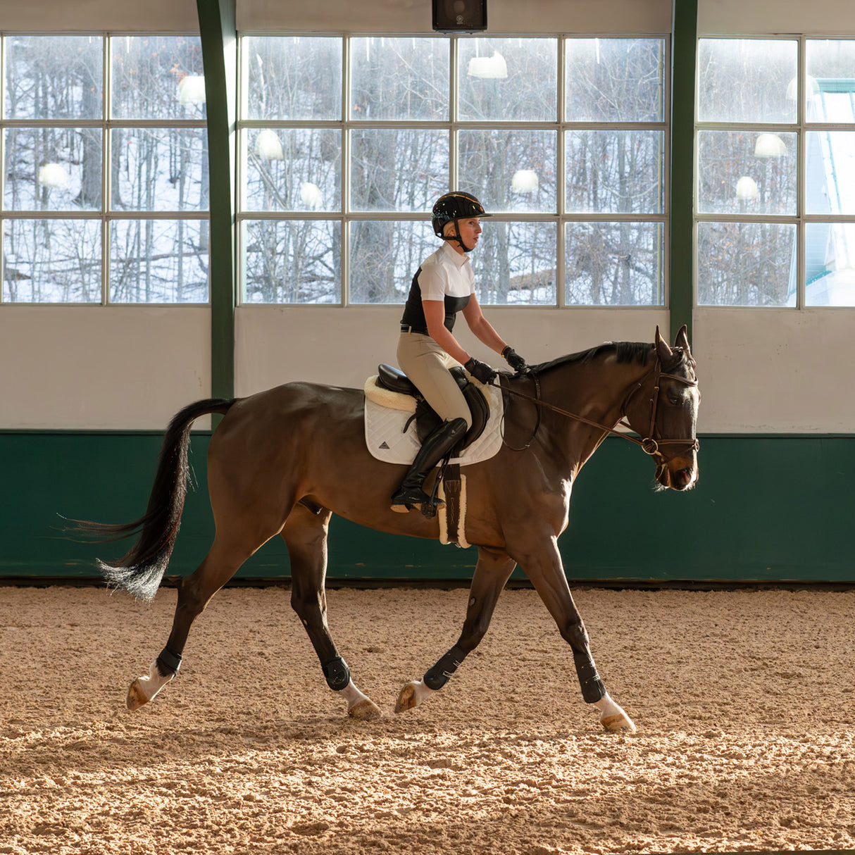 Culotte de concours technique Nikara Altus