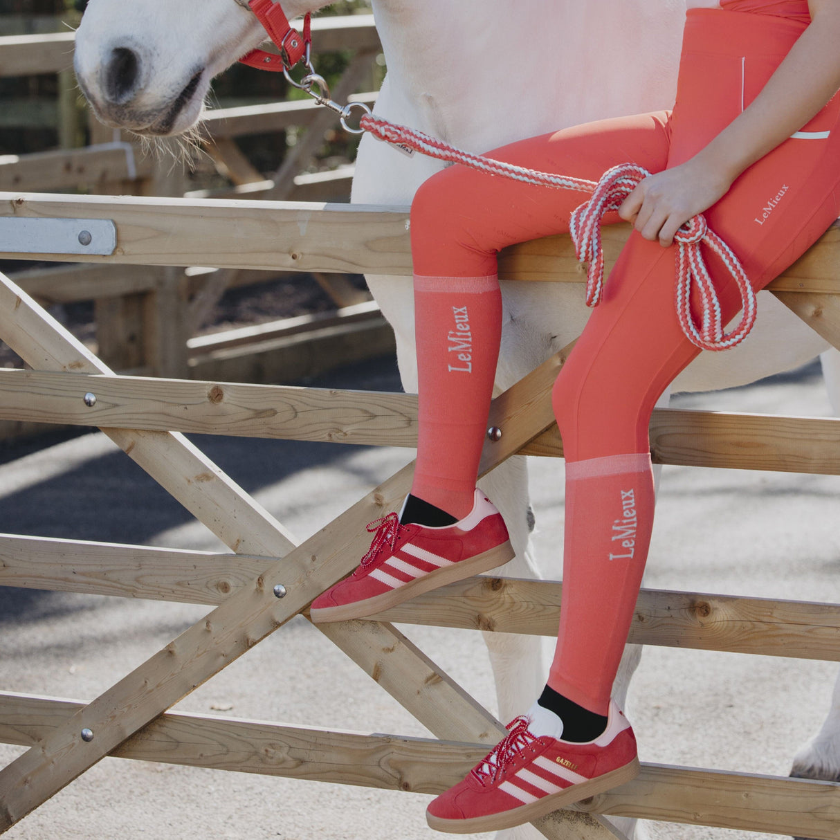 LeMieux Harlow Competition Socks - Two Pack