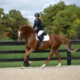 Veste de spectacle Elation Platinum Carrera