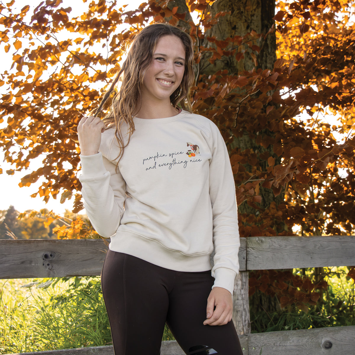 Pumpkin Spice Ponies x Aerion Spice and Everything Nice Sweatshirt