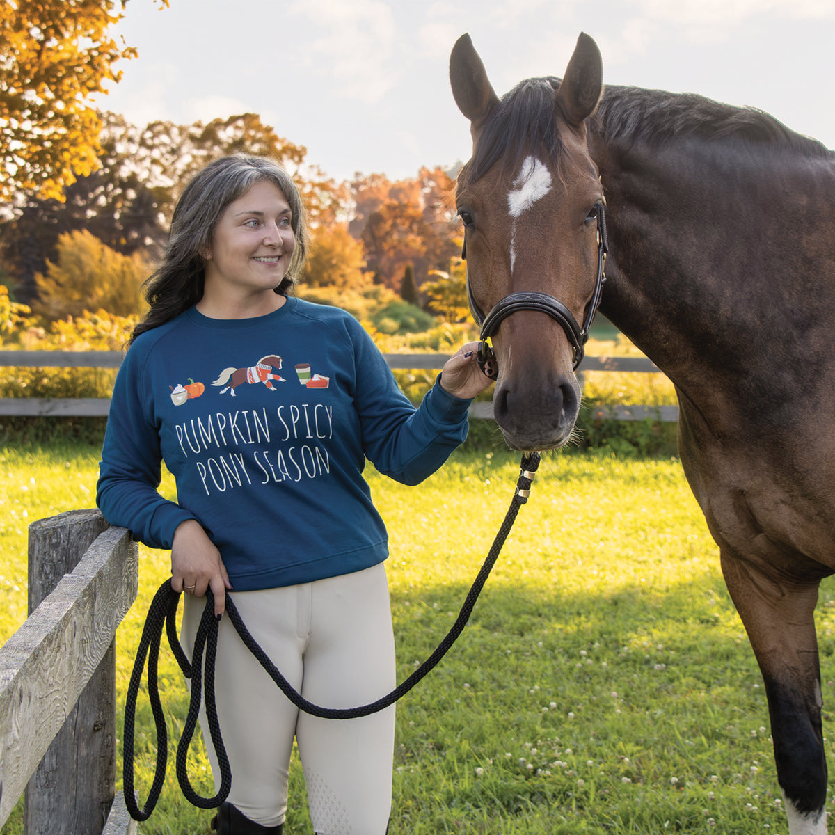 Pumpkin Spice Ponies x Aerion Spicy Pony Season Sweatshirt