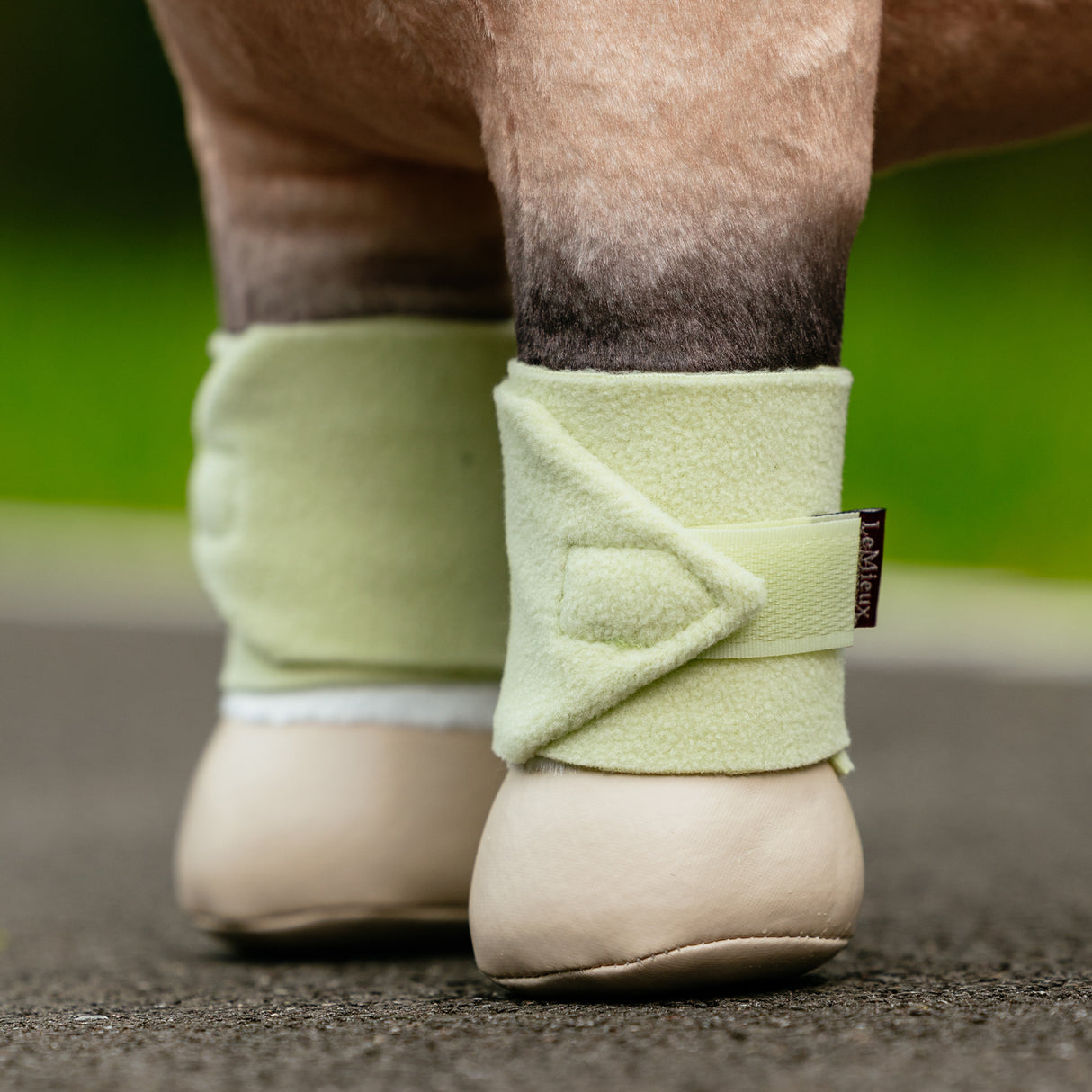 Bandages de jouet poney LeMieux