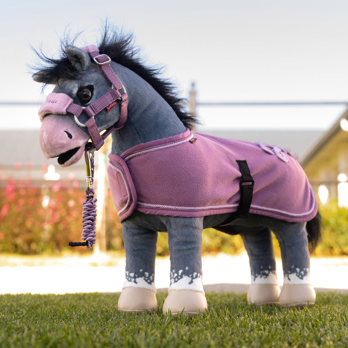 LeMieux Toy Pony Rug
