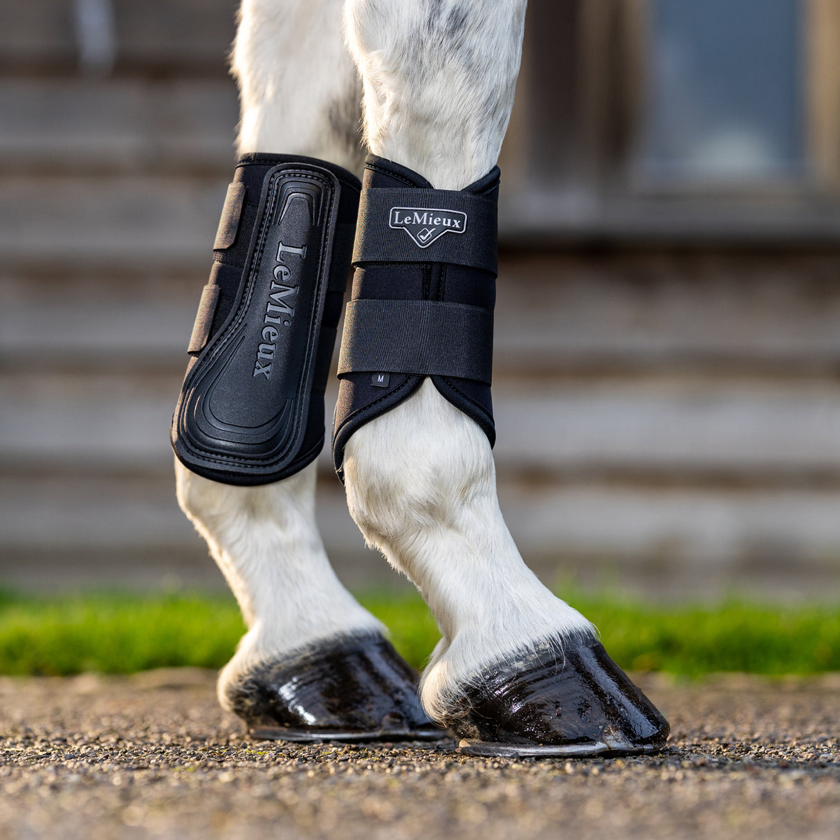 Bottes de brossage LeMieux Grafter
