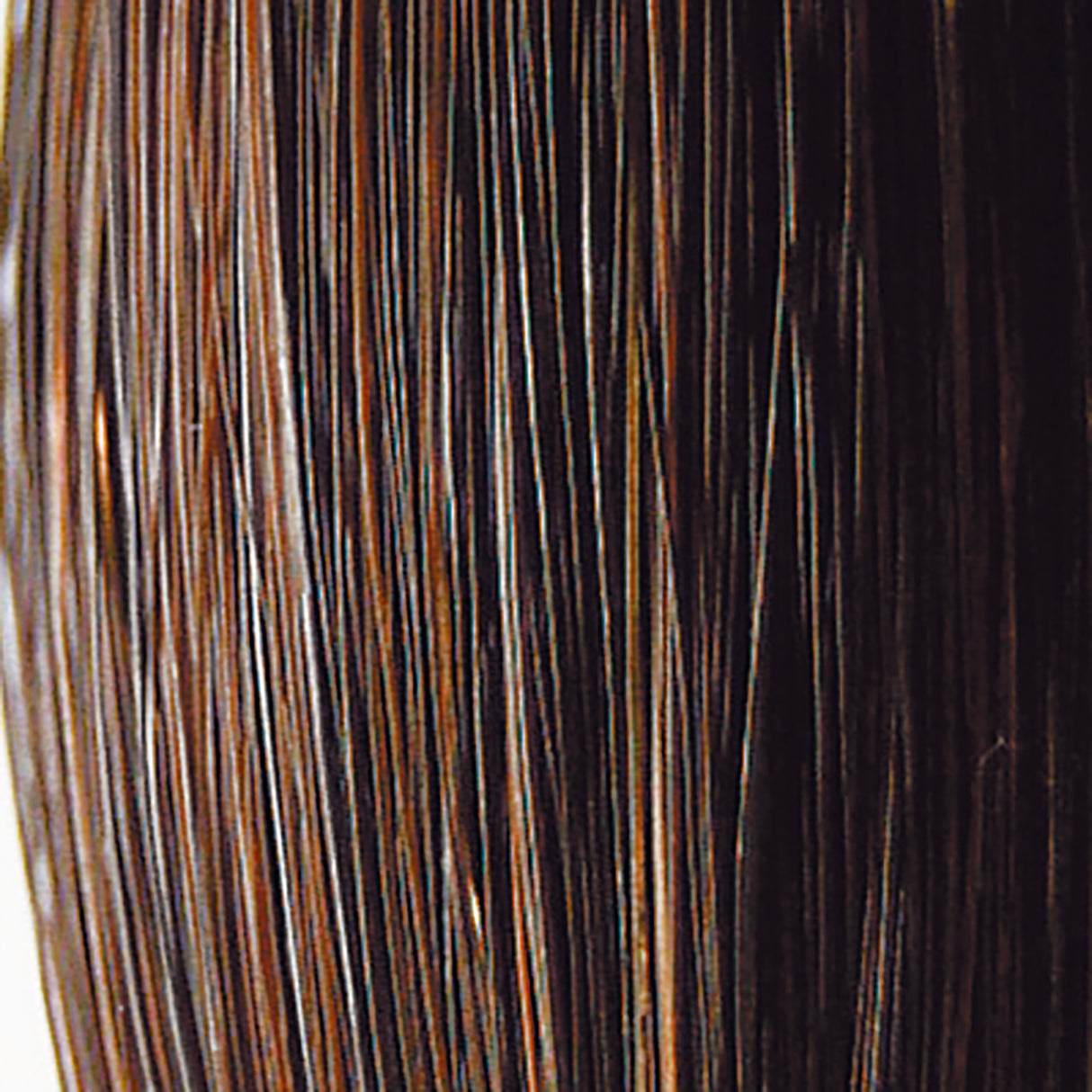 Queues trophées 1 lb. Queue de chasseur