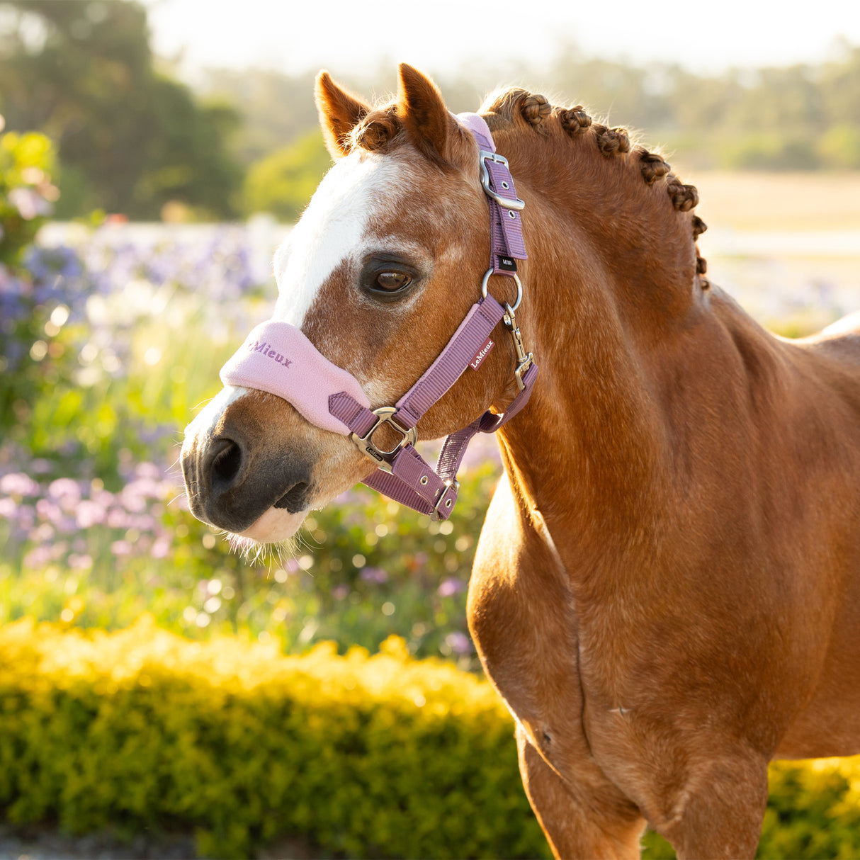 LeMieux Mini Vogue Halter & Lead Rope