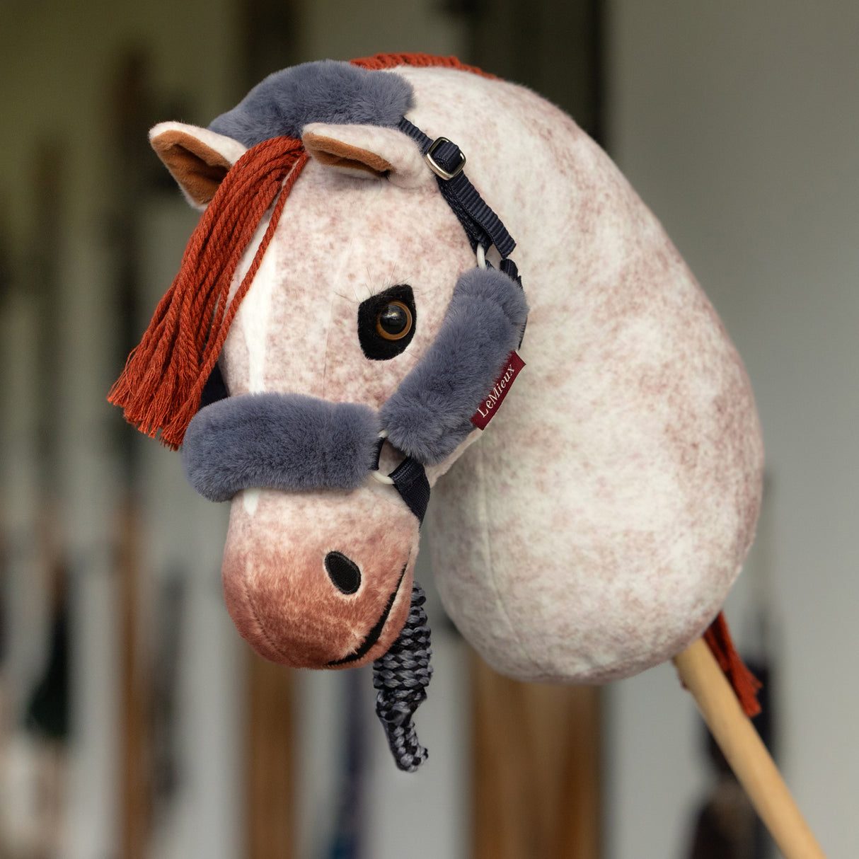 Licol et longe de confort pour cheval de loisir LeMieux