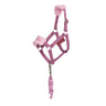 Licou Vogue et laisse assortie pour Hobby Horse LeMieux