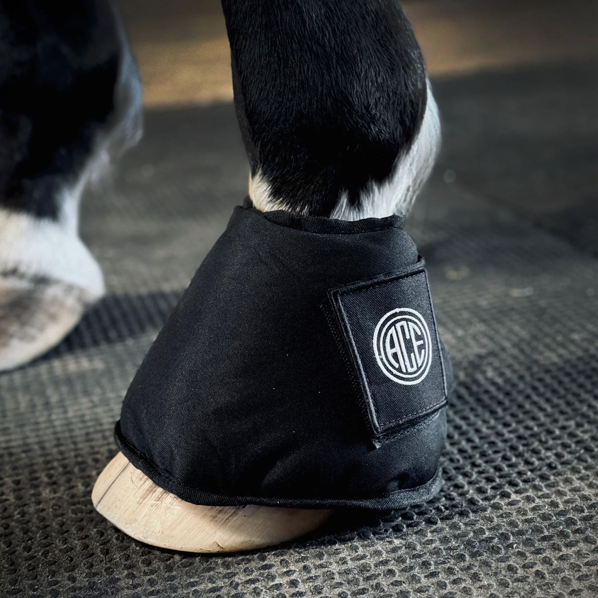 Bottes de glace Kold Feet Pro4mance Ace