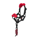 Licou Vogue et laisse assortie pour Toy Pony LeMieux