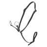 LeMieux Toy Pony Martingale