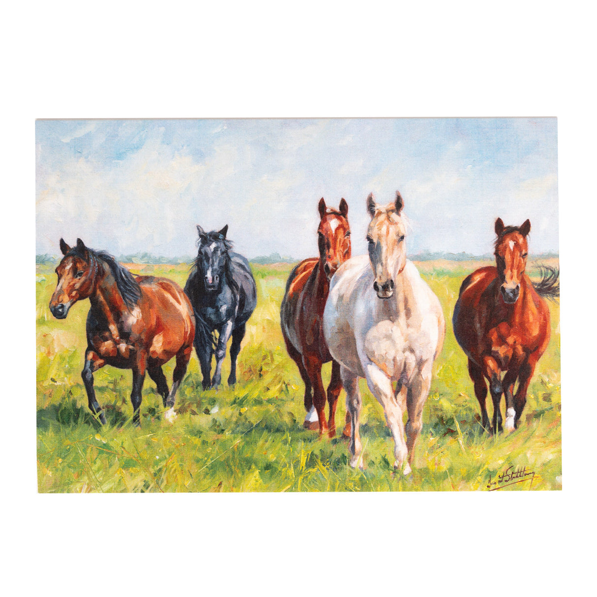 Ink on Paper Horses Painting Birthday Card