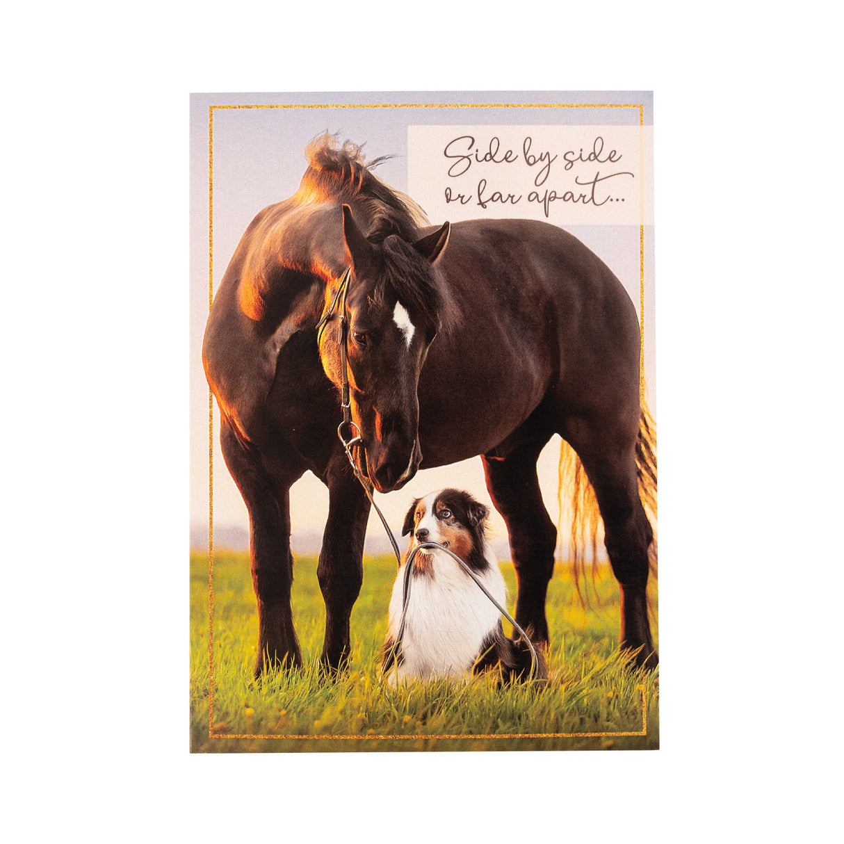 Ink on Paper Horse & Dog Friendship Card