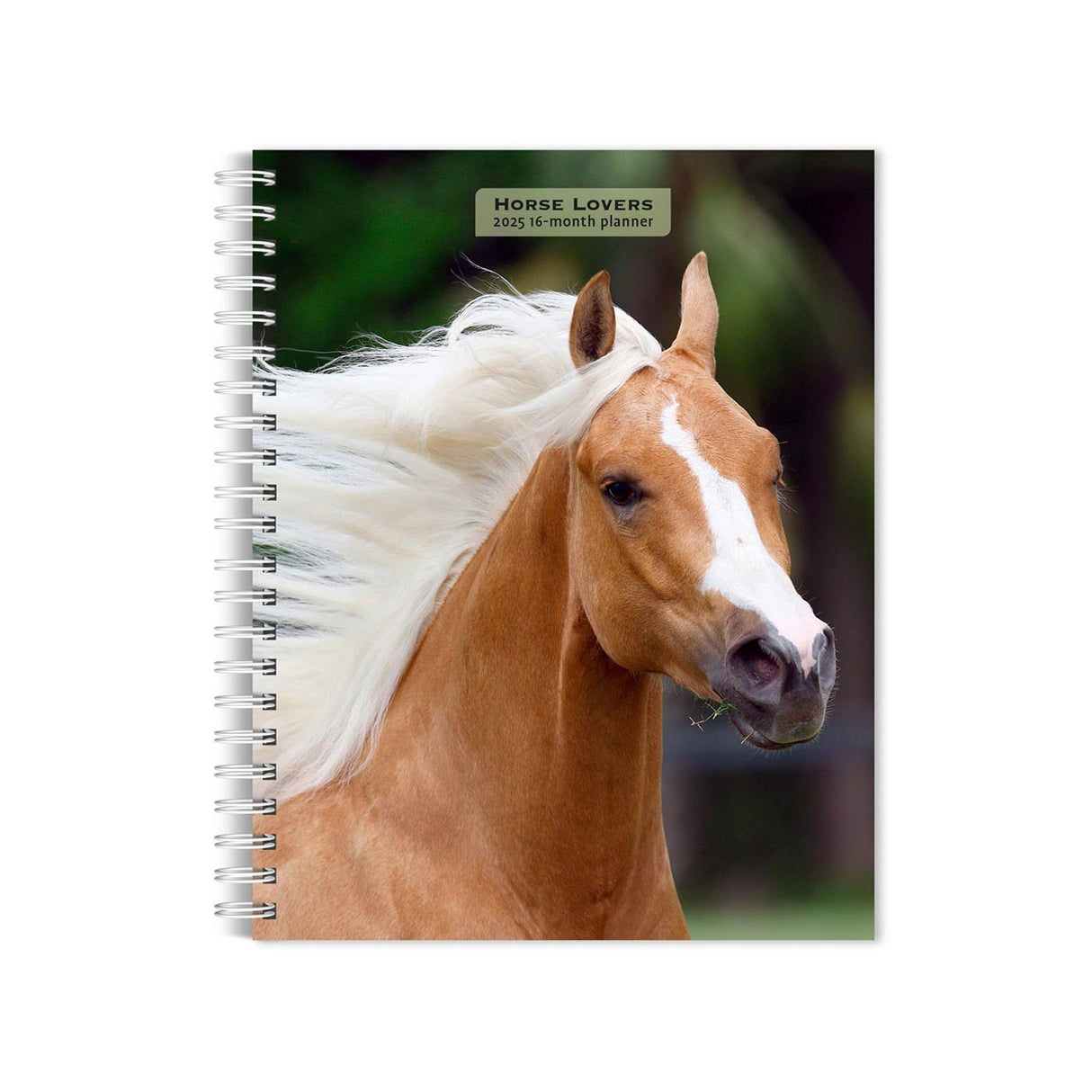 Calendrier de fiançailles BrownTrout Horse Lovers 2025