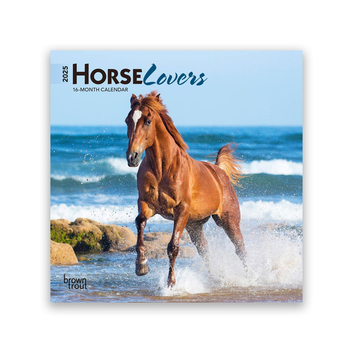 Calendrier 2025 Mini 7x7 BrownTrout Horse Lovers