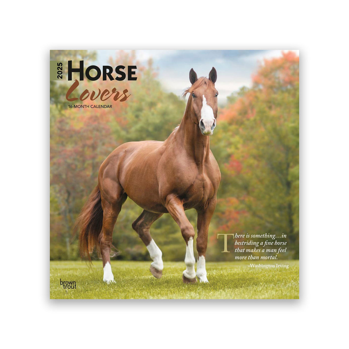 Calendrier carré 2025 BrownTrout Horse Lovers