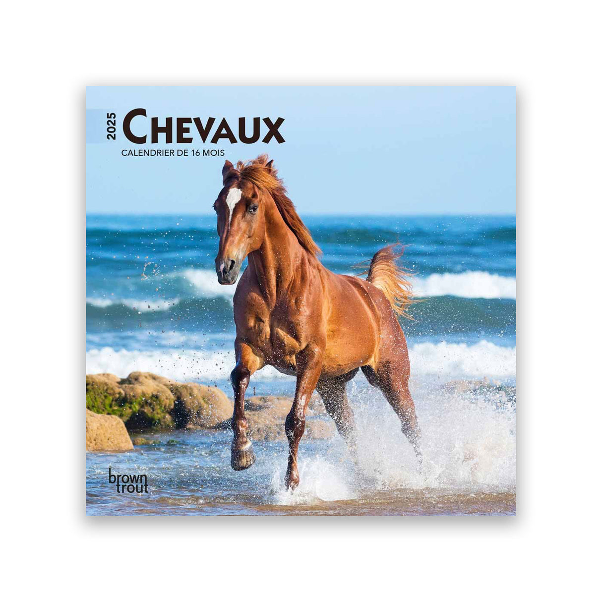 BrownTrout Chevaux 2025 Mini 7x7 Calendar