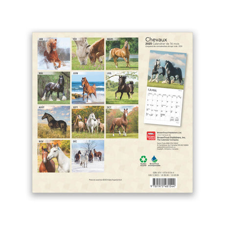 BrownTrout Chevaux 2025 Mini 7x7 Calendar