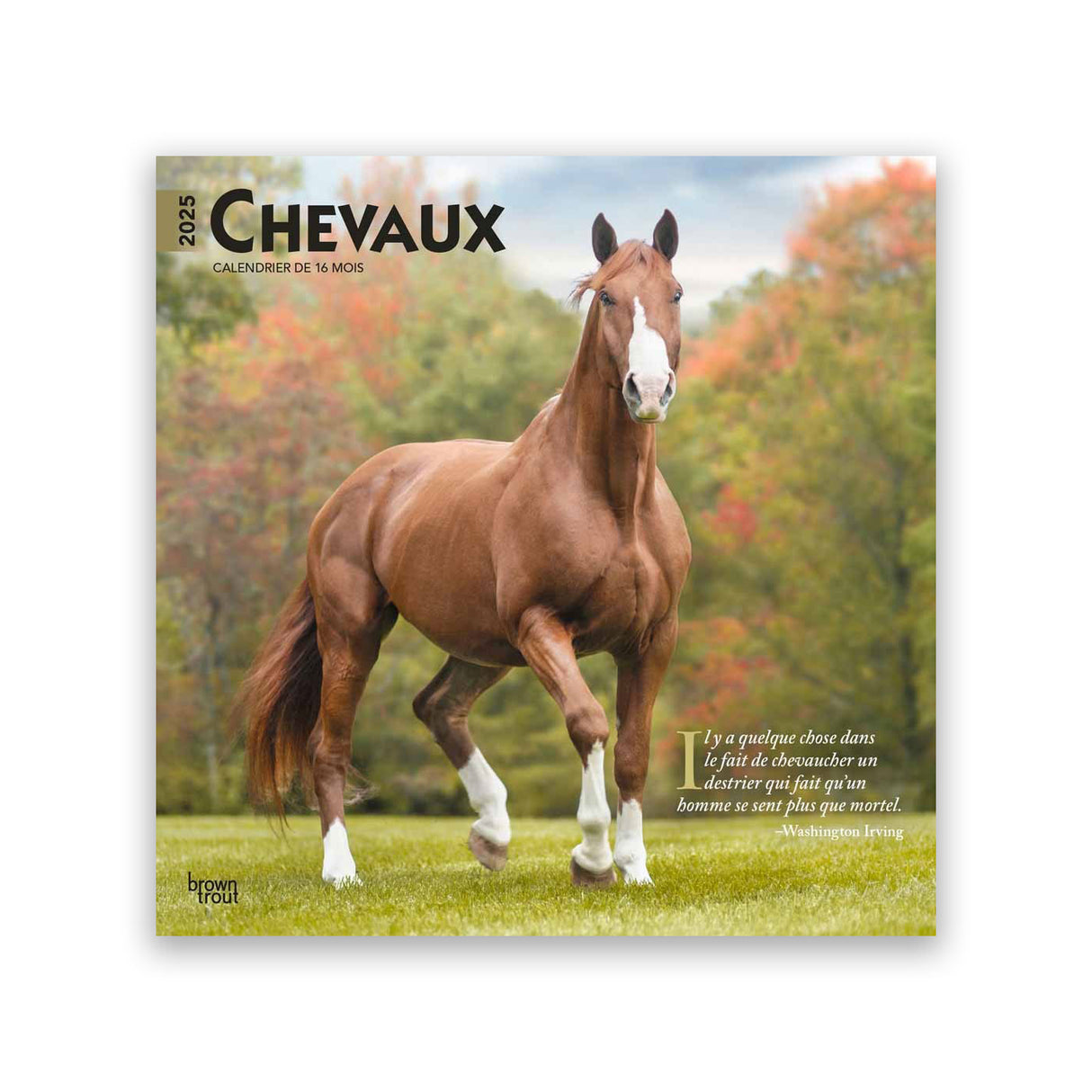 Calendrier carré BrownTrout Chevaux 2025