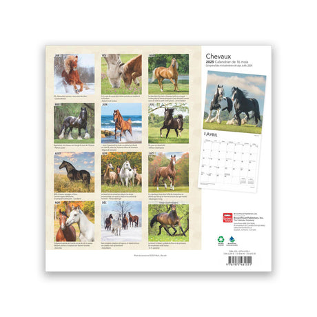 Calendrier carré BrownTrout Chevaux 2025