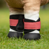LeMieux Toy Pony Grafter Boots
