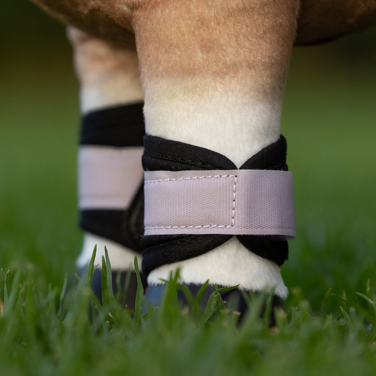 LeMieux Toy Pony Grafter Boots