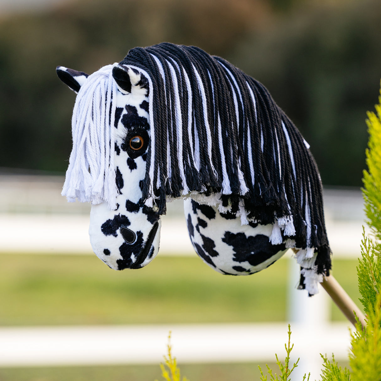 Cheval de loisir Dakota de LeMieux - À réserver jusqu'au 20 août 2025
