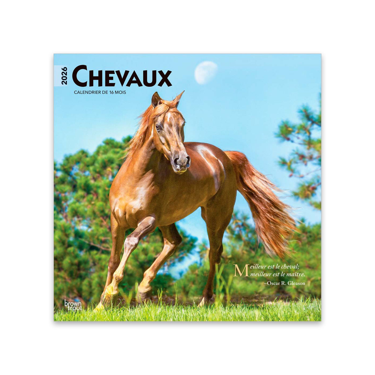 Calendrier carré BrownTrout Chevaux 2026