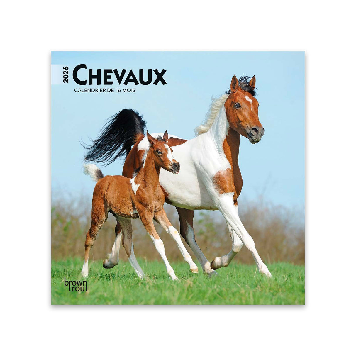 Mini calendrier BrownTrout Chevaux 2026