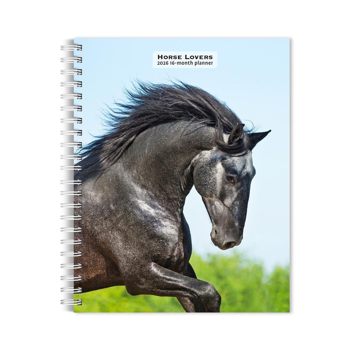 Calendrier de fiançailles 2026 des amoureux des chevaux de BrownTrout