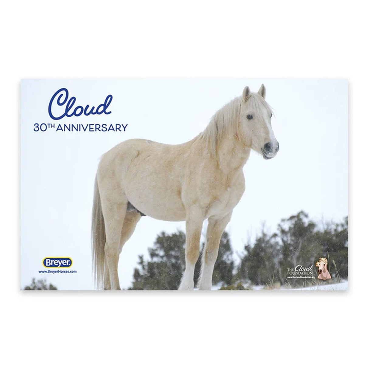 Breyer Traditional Édition 30e anniversaire Wild Stallion of the Rockies