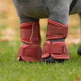 Guêtres de protection en maille pour Toy Pony LeMieux - Automne 2026