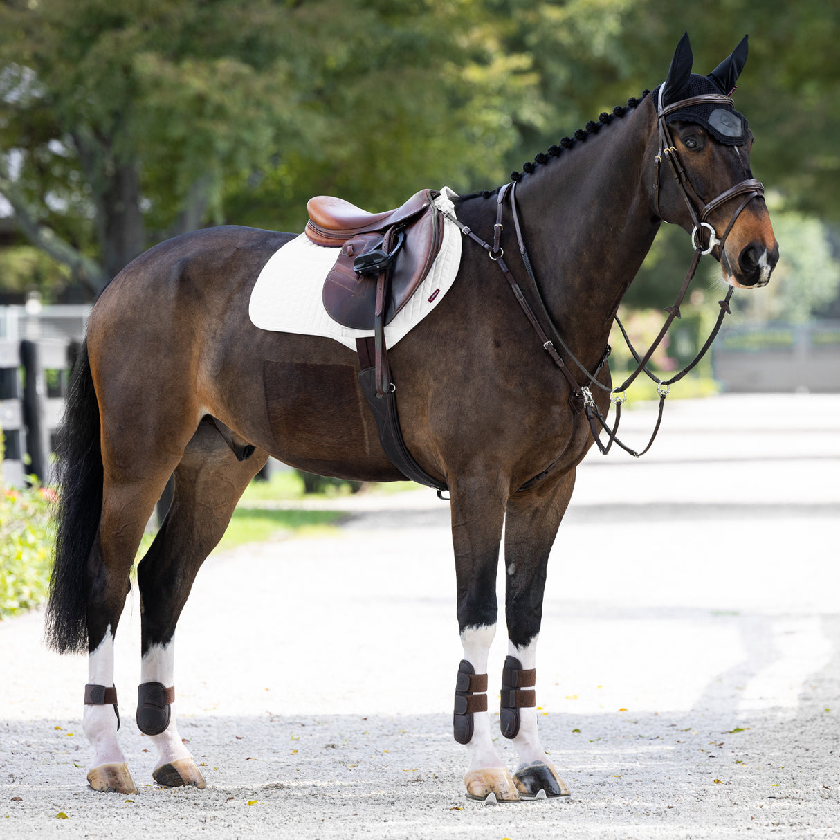 Tapis de selle LeMieux ProSorb Plain à deux poches à contact étroit
