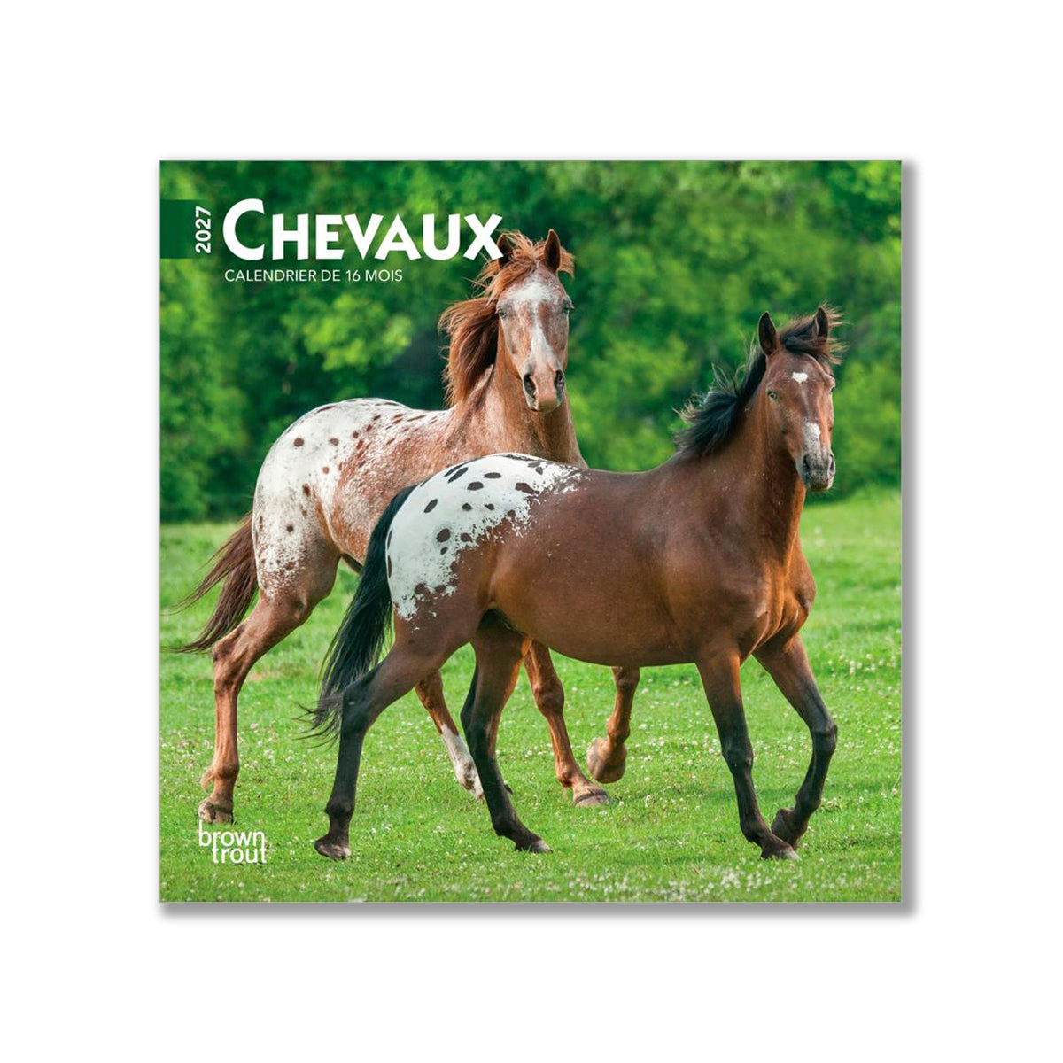 BrownTrout Chevaux 2027 Mini Calendar