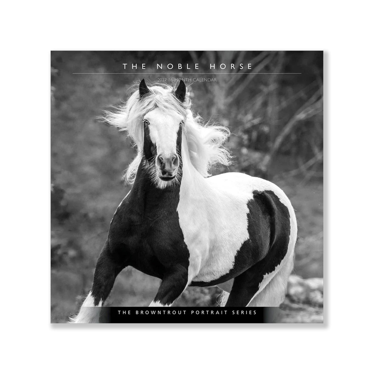 BrownTrout The Noble Horse 2027 Square Calendar – Greenhawk Equestrian ...